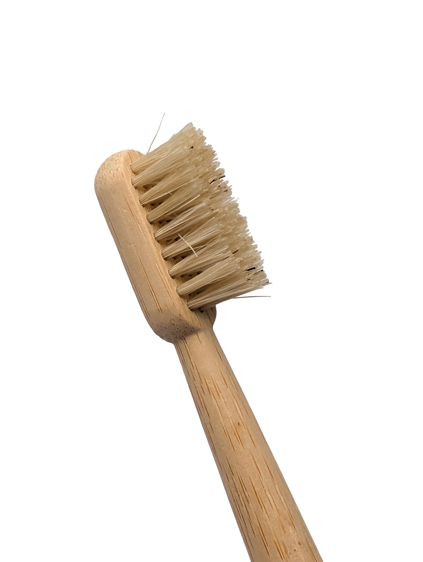 Toothbrush no microplastics