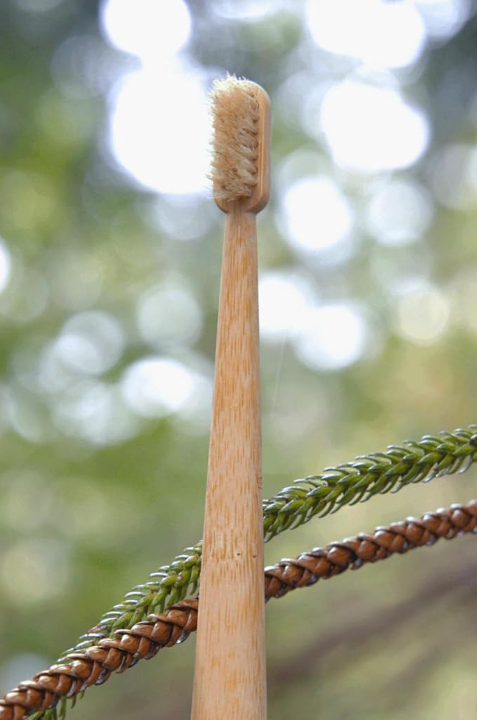 Toothbrush no microplastics